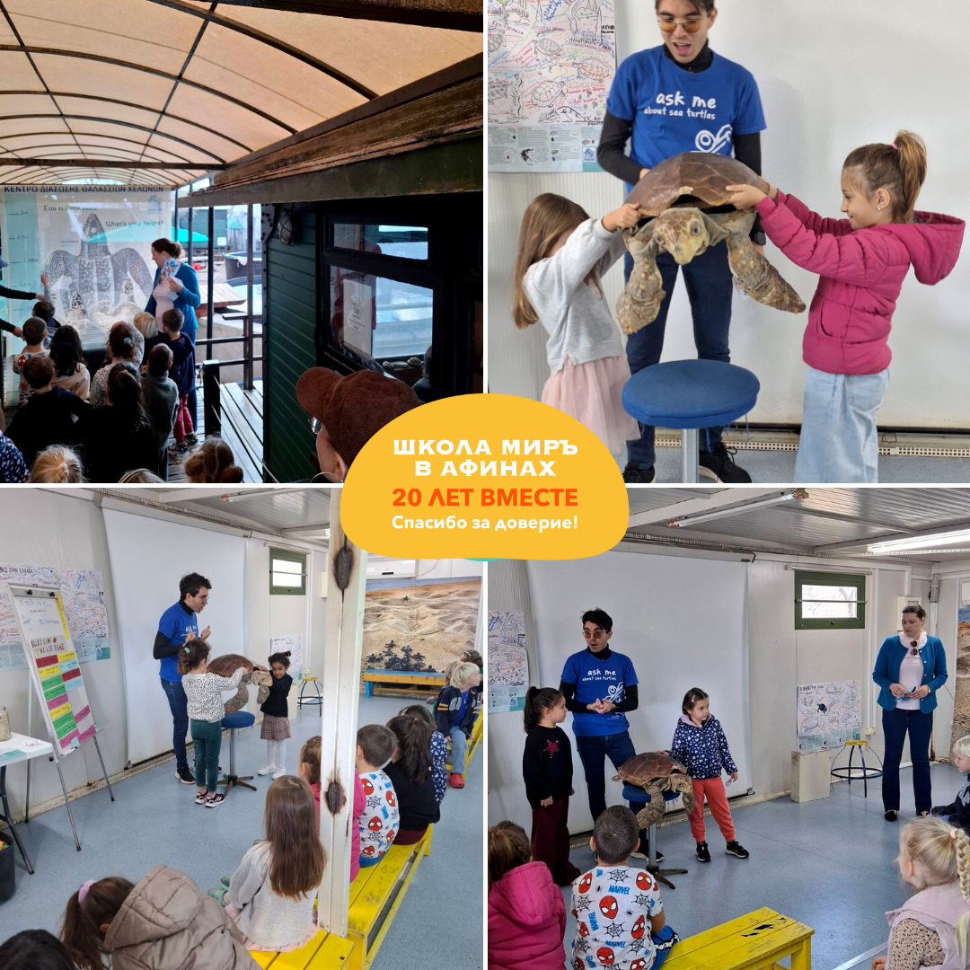 Центр спасения морских черепах в Афинах